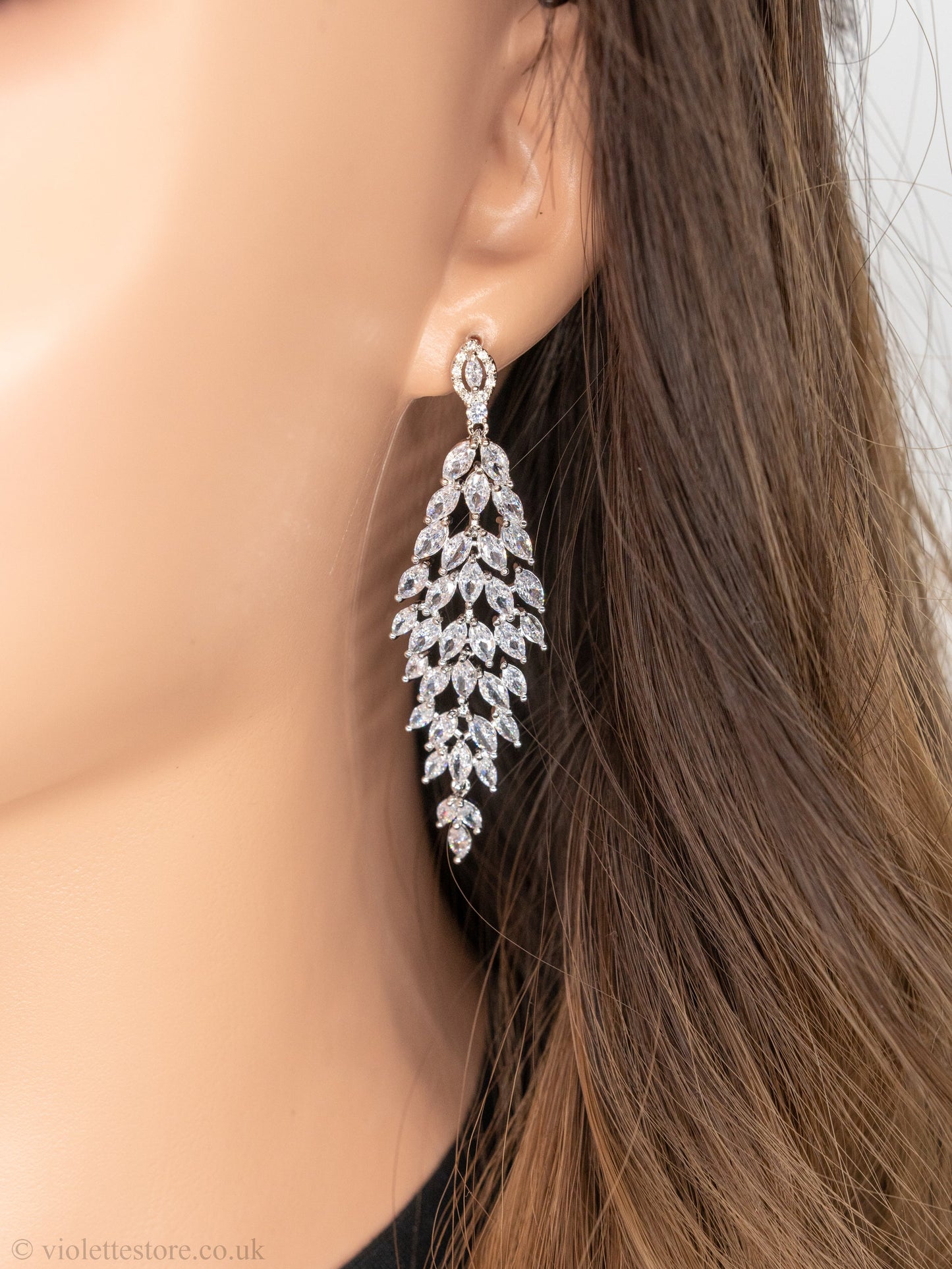 Stunning Crystal Earrings